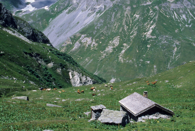 Los Alpes suízos